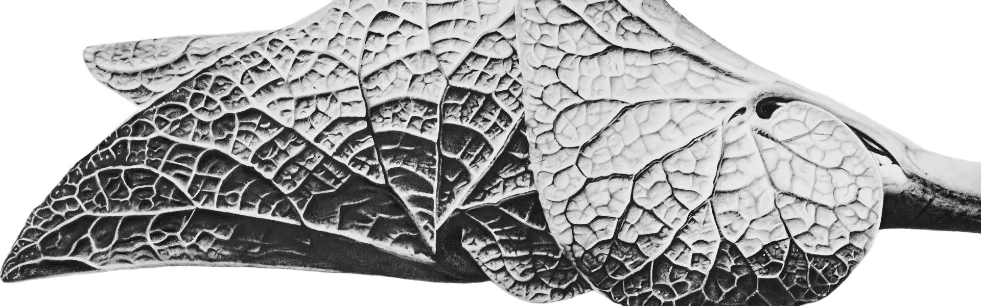 The Spring Time Hyperrealistic Drawing by Sinziana Iordache, part of her Botanical Art Collection, is inspired by Karl Blossfeldt's photography. This stunning piece of flower wall art drawing captures intricate details, showcasing every delicate vein of the leaf with astonishing precision. The level of detail is so extraordinary that it appears almost unreal, inviting viewers into a world where nature's beauty is immortalized on paper.